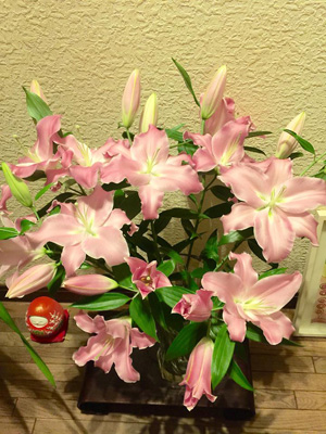 201602200301.jpg
