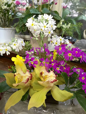 201602200401.jpg