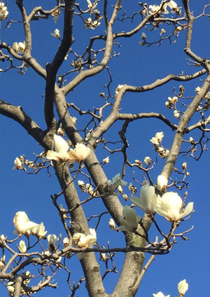 201603130101.jpg