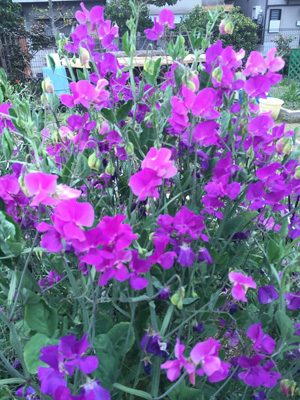 201604030205.jpg