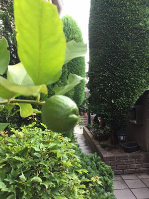 201608120101.jpg