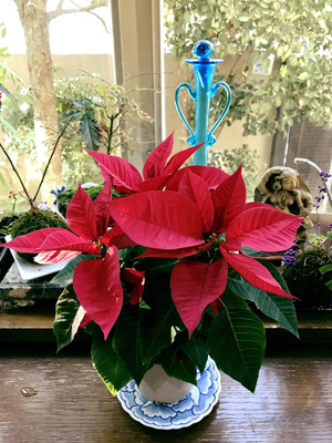 blog_201612070101.jpg