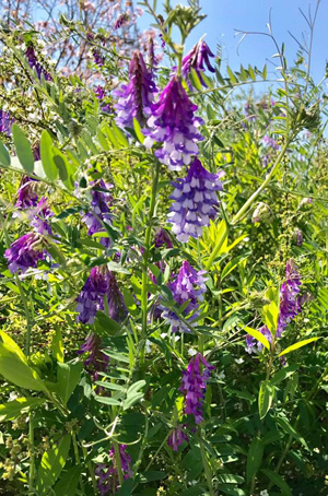 blog_201704240103.jpg