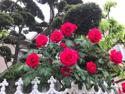 blog_201705090305.jpg
