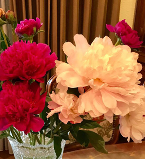 blog_201706160102.jpg