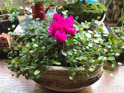 blog_201711240201.jpg