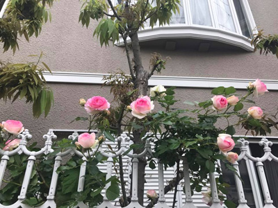 blog_201805020204.jpg