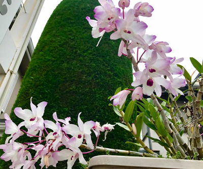 blog_201805070101.jpg