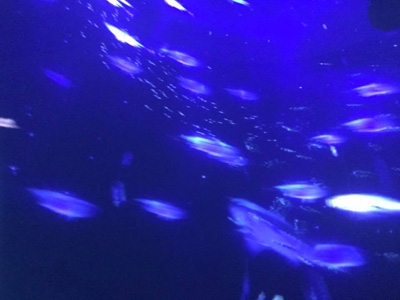 blog_201805080105.jpg