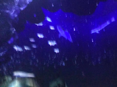 blog_201805080108.jpg