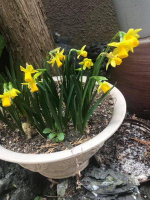 blog_201903070101.jpg