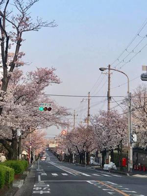 blog_201904060201.jpg