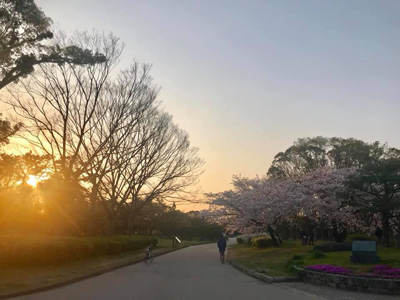 blog_201904060202.jpg