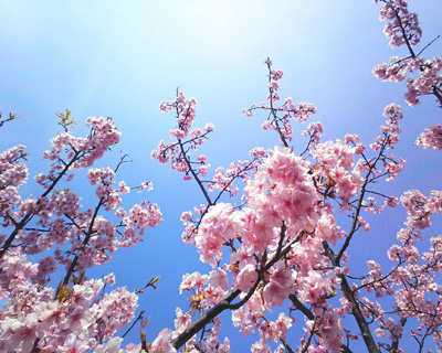blog_201904080101.jpg
