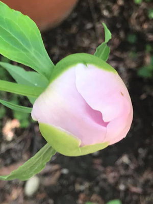 blog_201905020101.jpg