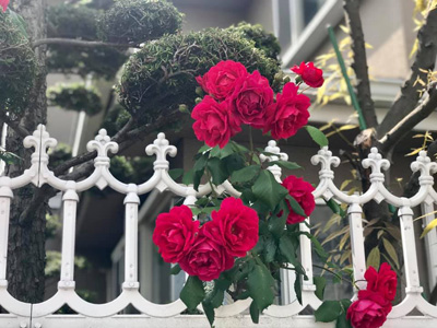 blog_201905130106.jpg