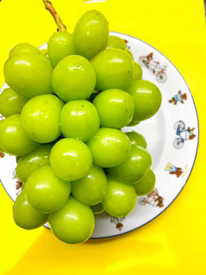 blog_202007270101.jpg