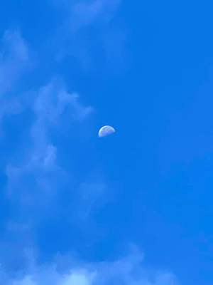 blog_202008110101.jpg