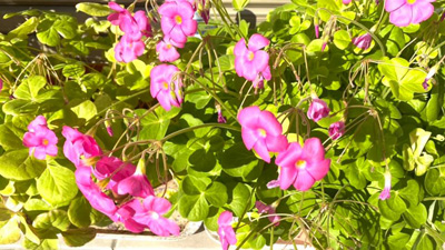 blog_202012050204.jpg