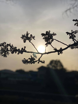 blog_202103200102.jpg