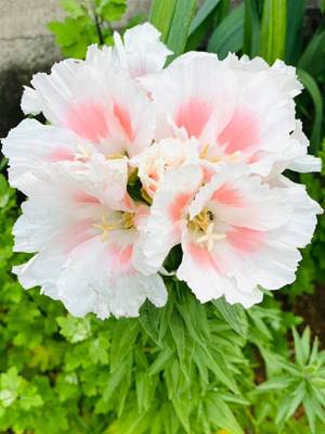 blog_202105090101.jpg