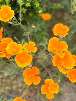 blog_202105090102.jpg