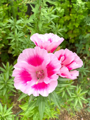 blog_202105090103.jpg