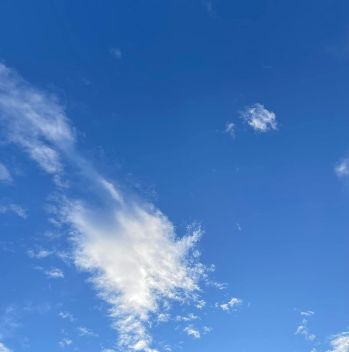 天高く！　９月２２日
