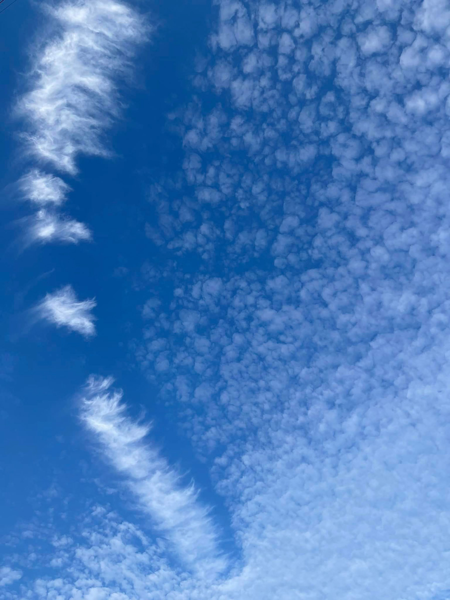 うろこ雲　１１月４日