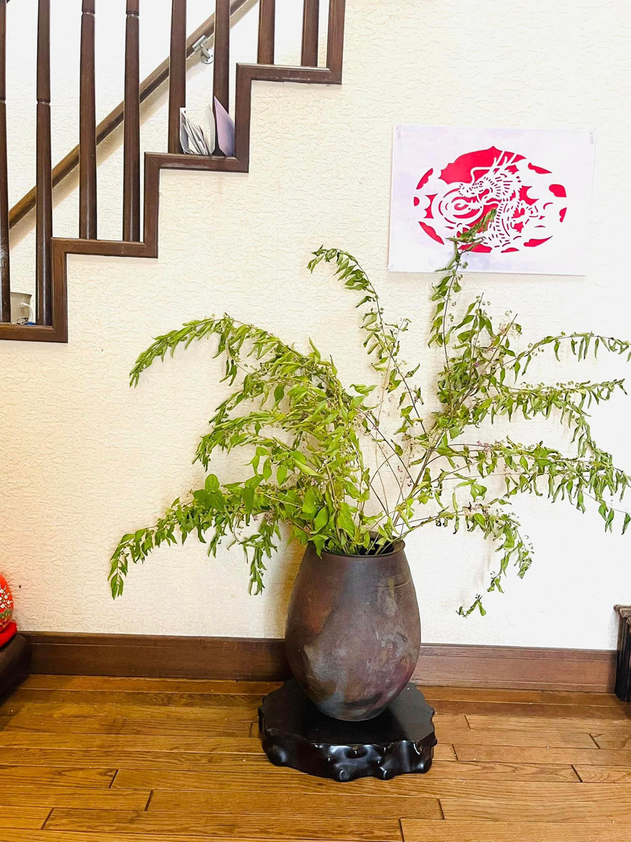 決算分科会 健康福祉　９月６日
