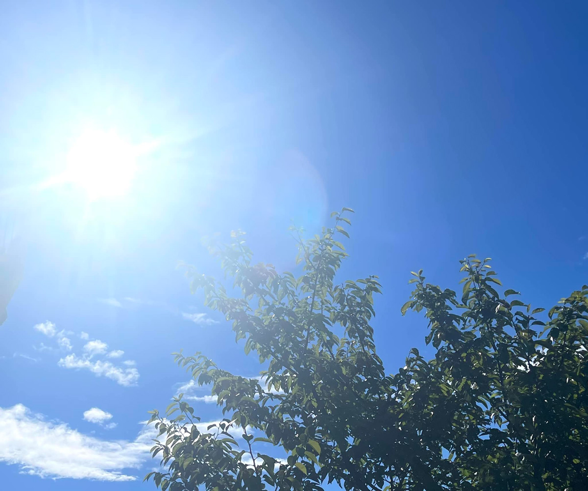 暑さ指数が高い堺市！　９月１０日