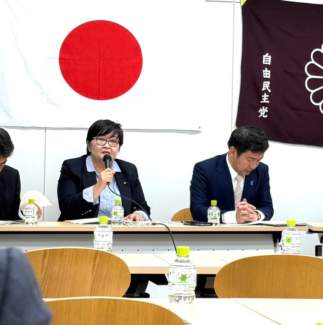 地方議員政策会議　１１月１７日