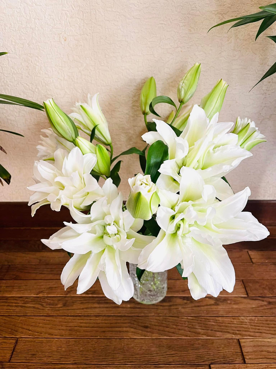花と枯露柿！　１２月２３日