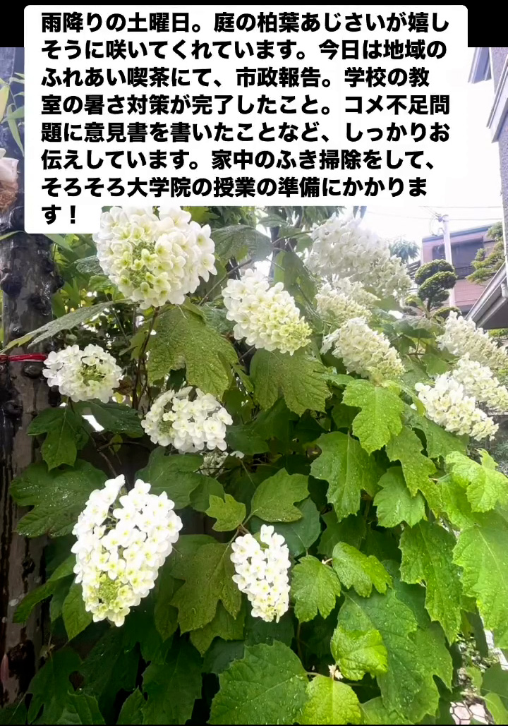 雨降りの土曜日　５月２４日