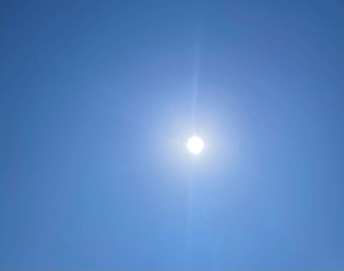 とっても気持ちのよい朝　６月５日