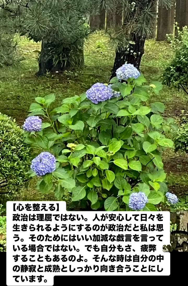 心を整える　６月１０日