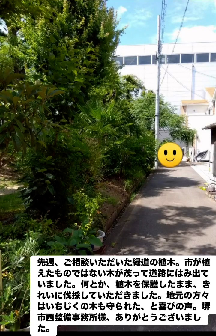 緑道の植木　６月２４日