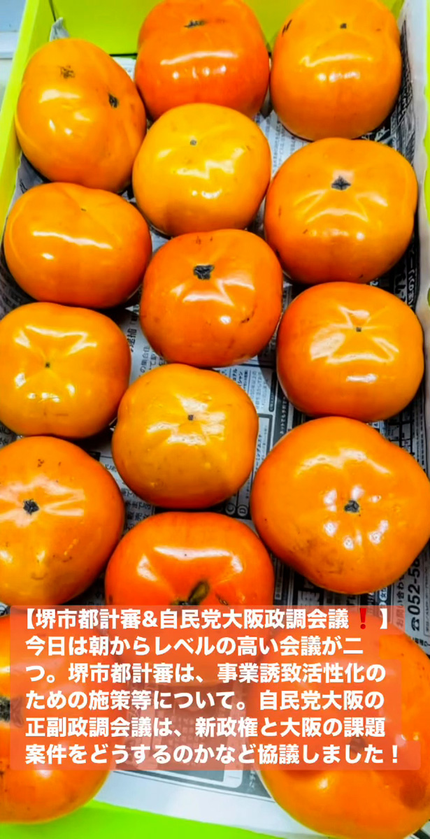 堺市都計審＆自民党大阪政調会議！　１１月１０日