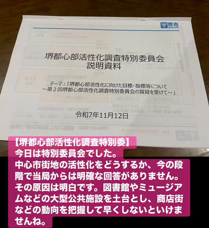 堺都心部活性化調査特別委　１１月１３日