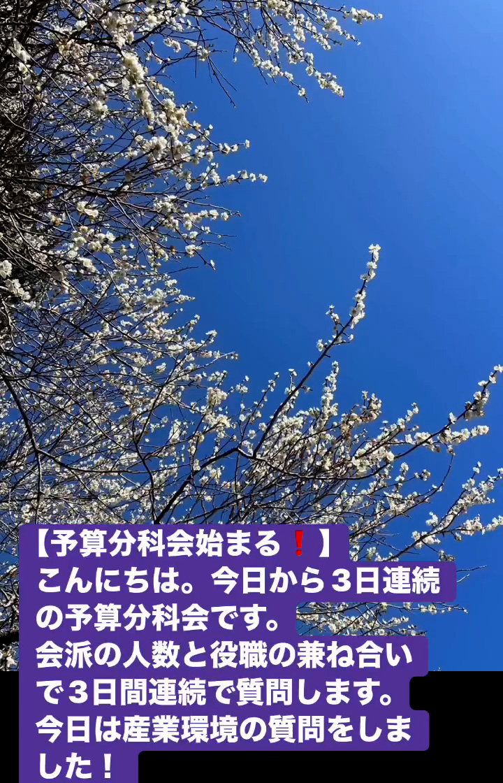 予算分科会始まる！　３月４日