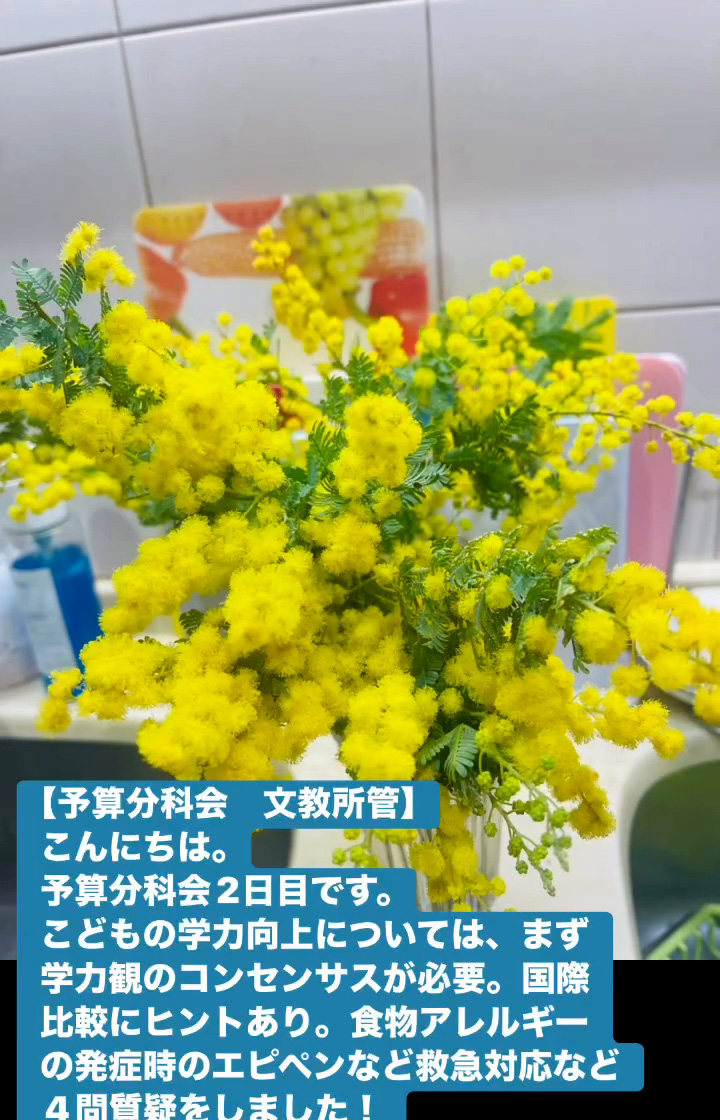 予算分科会 文教所管　３月５日