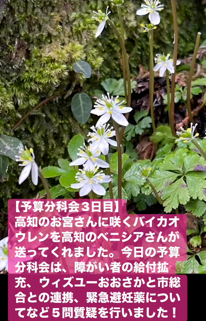 予算分科会3日目　３月６日