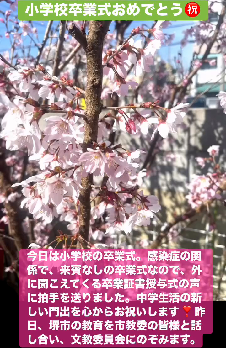小学校卒業式おめでとう　３月１７日