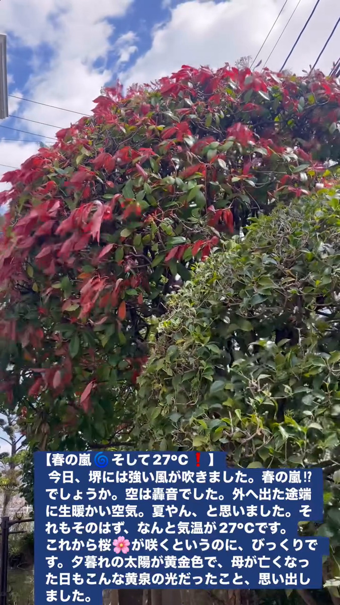 春の嵐 そして 27℃！　３月３１日