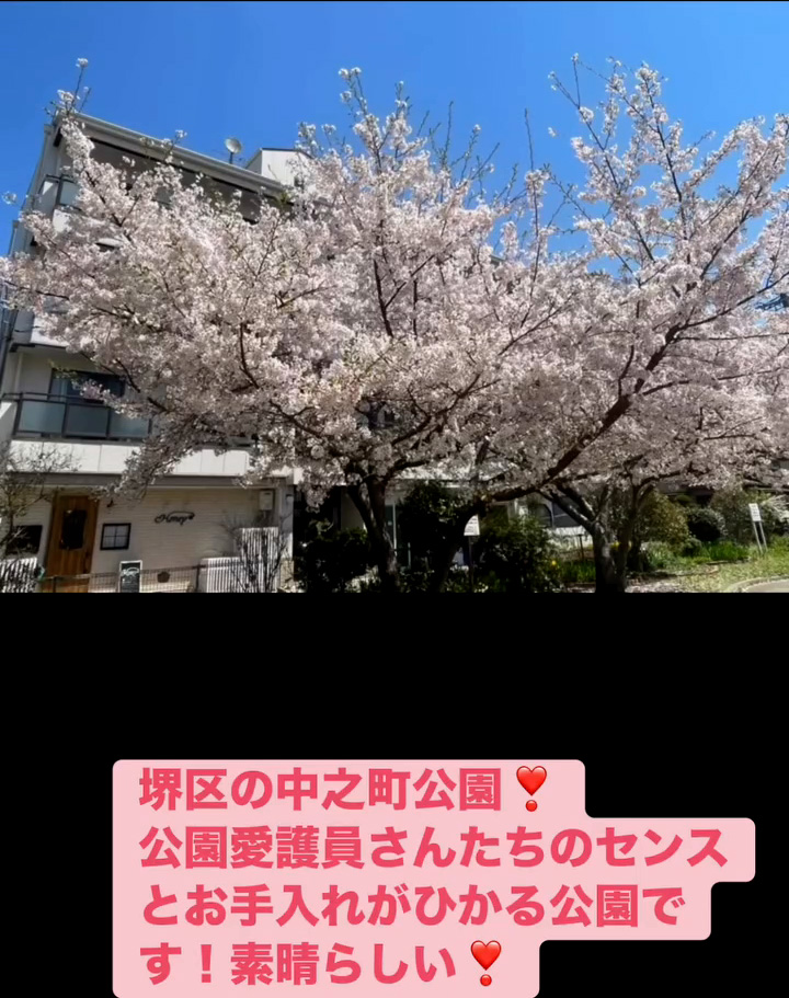 中之町公園　４月９日