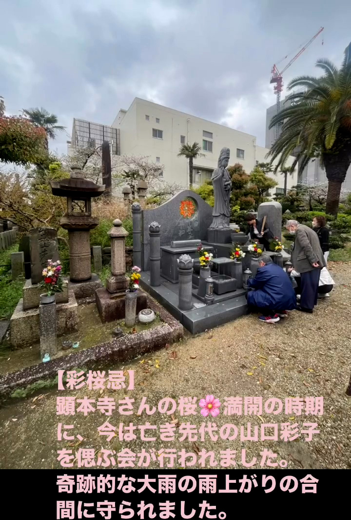 彩桜忌　４月１２日