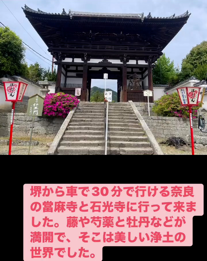 浄土の世界　４月２４日