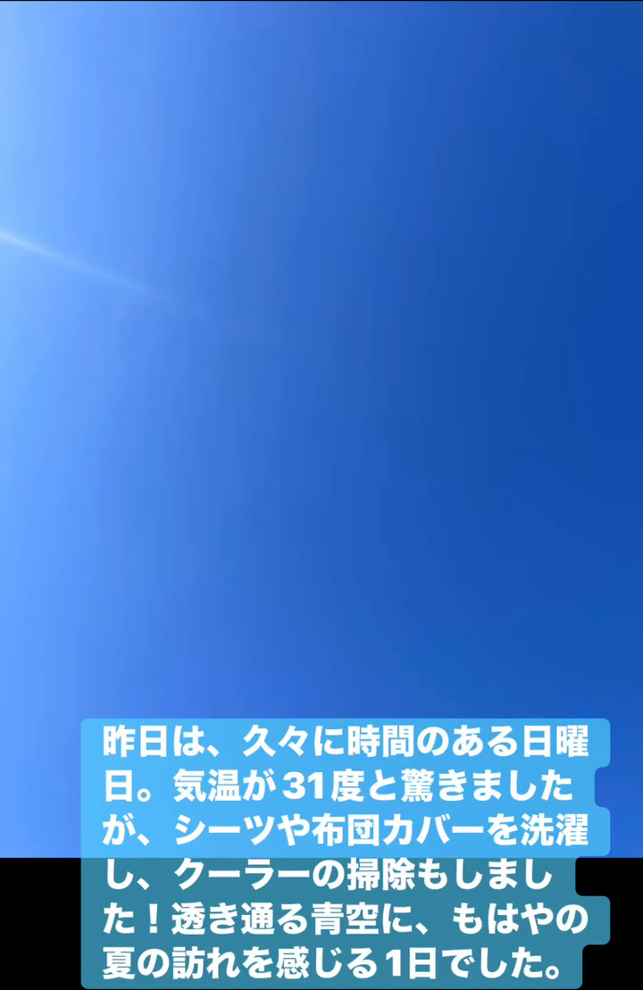 夏の訪れ　５月１８日