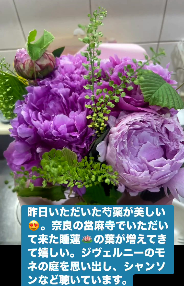 モネの庭　５月２４日