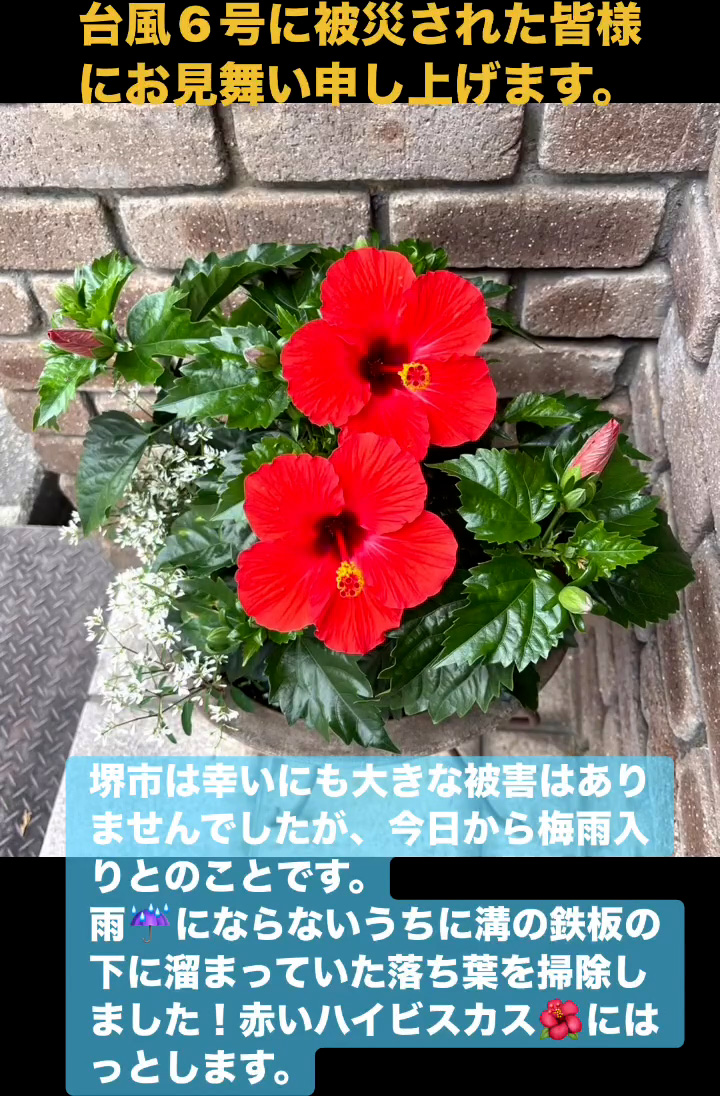台風6号に被災された皆様にお見舞い申し上げます。　６月４日